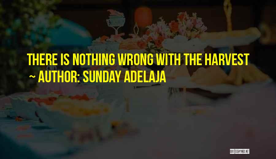 Sunday Adelaja Quotes: There Is Nothing Wrong With The Harvest