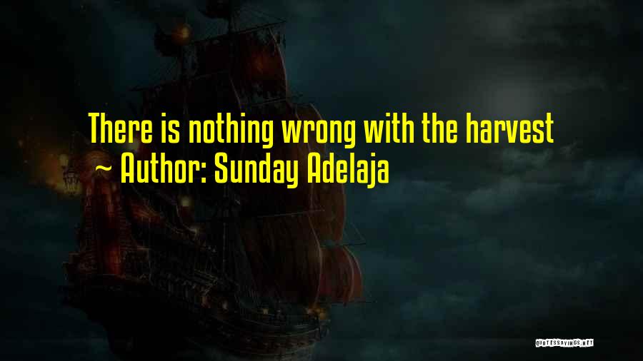 Sunday Adelaja Quotes: There Is Nothing Wrong With The Harvest