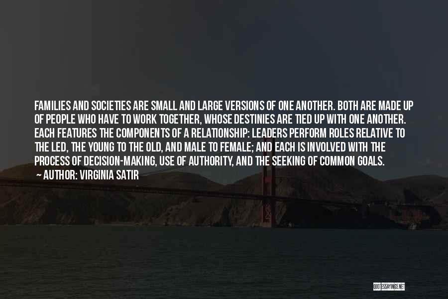 Virginia Satir Quotes: Families And Societies Are Small And Large Versions Of One Another. Both Are Made Up Of People Who Have To