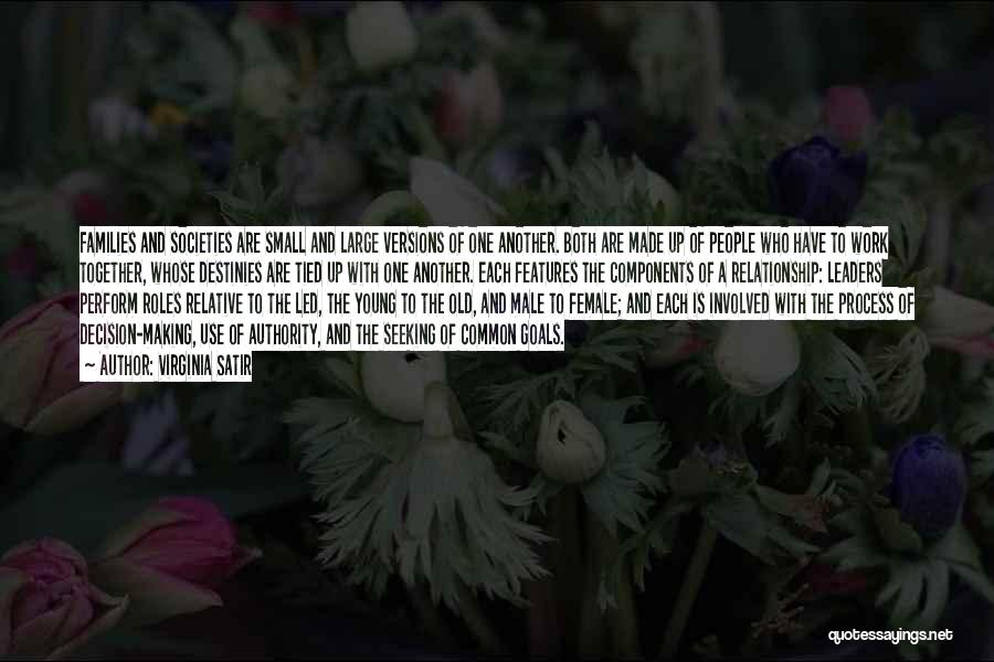 Virginia Satir Quotes: Families And Societies Are Small And Large Versions Of One Another. Both Are Made Up Of People Who Have To