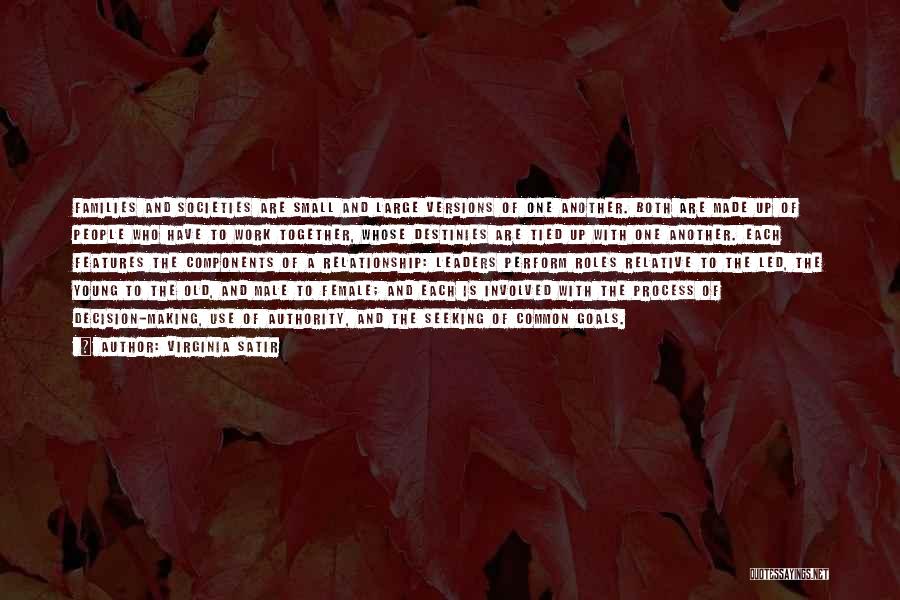 Virginia Satir Quotes: Families And Societies Are Small And Large Versions Of One Another. Both Are Made Up Of People Who Have To