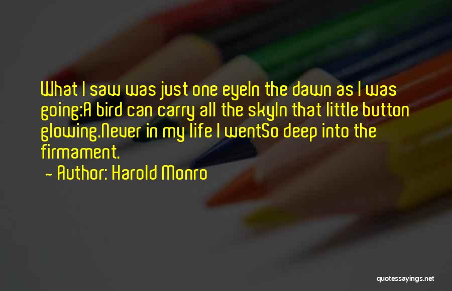 Harold Monro Quotes: What I Saw Was Just One Eyein The Dawn As I Was Going:a Bird Can Carry All The Skyin That