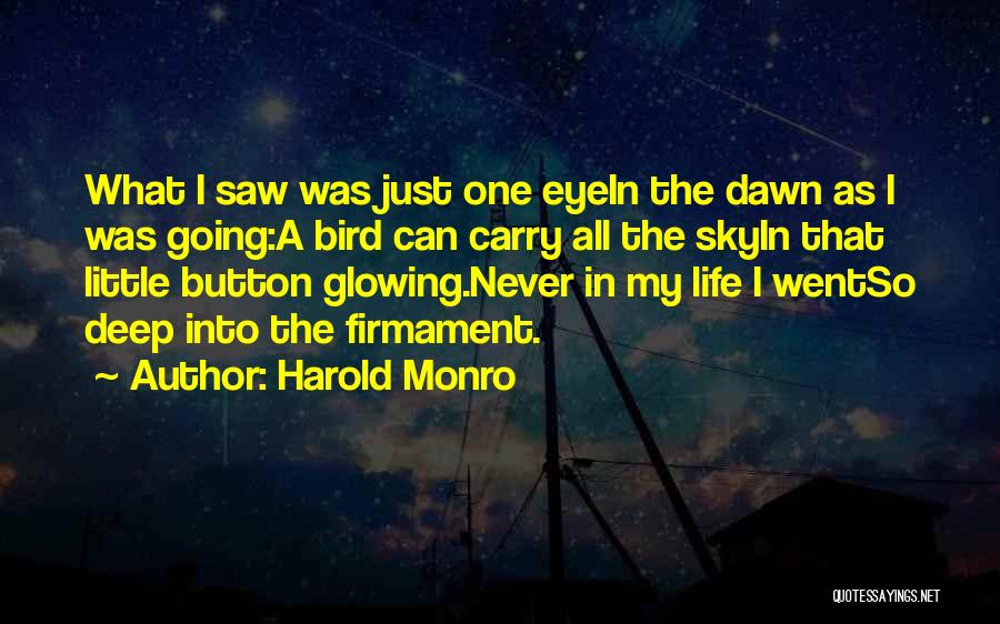 Harold Monro Quotes: What I Saw Was Just One Eyein The Dawn As I Was Going:a Bird Can Carry All The Skyin That