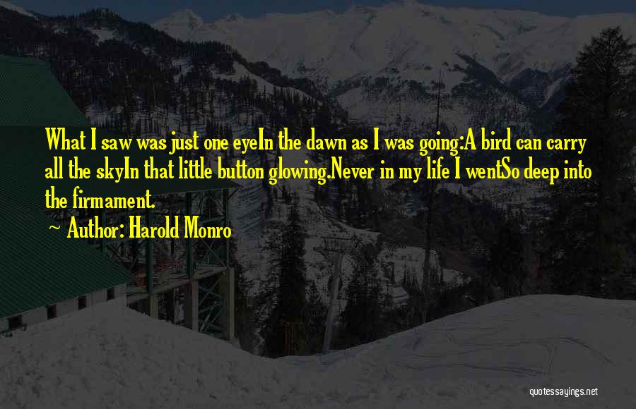 Harold Monro Quotes: What I Saw Was Just One Eyein The Dawn As I Was Going:a Bird Can Carry All The Skyin That