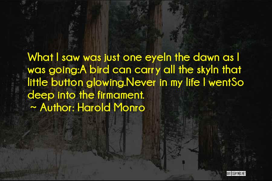 Harold Monro Quotes: What I Saw Was Just One Eyein The Dawn As I Was Going:a Bird Can Carry All The Skyin That