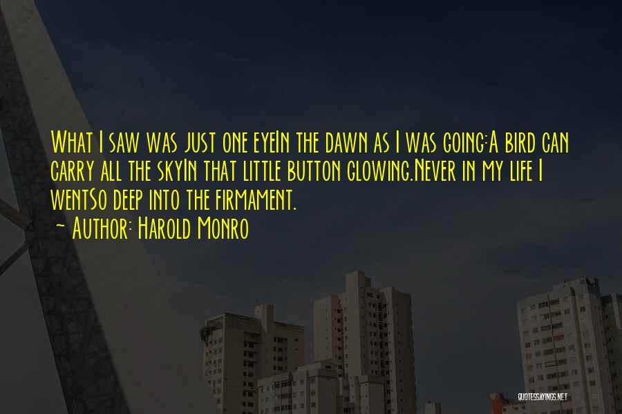Harold Monro Quotes: What I Saw Was Just One Eyein The Dawn As I Was Going:a Bird Can Carry All The Skyin That