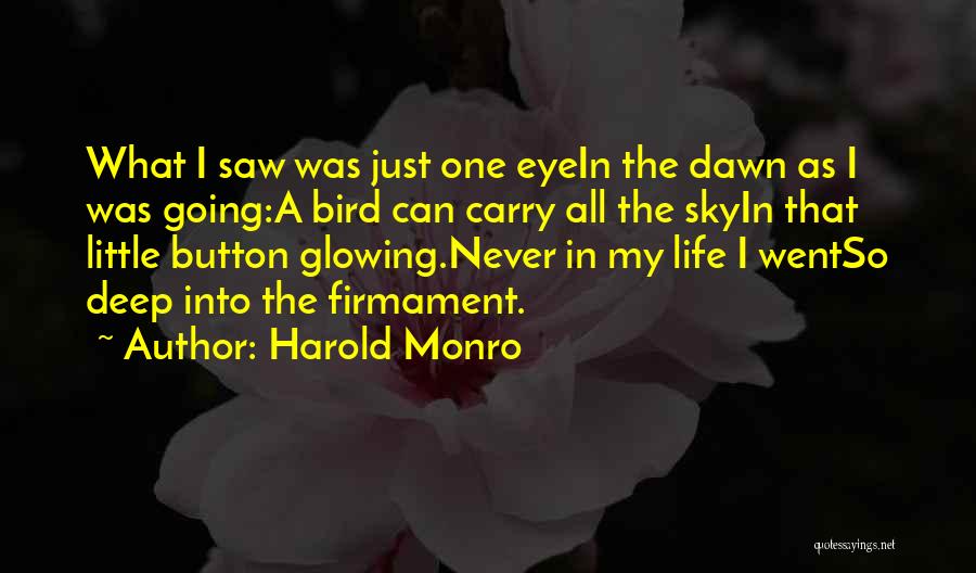 Harold Monro Quotes: What I Saw Was Just One Eyein The Dawn As I Was Going:a Bird Can Carry All The Skyin That