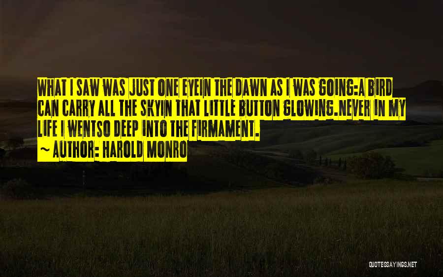 Harold Monro Quotes: What I Saw Was Just One Eyein The Dawn As I Was Going:a Bird Can Carry All The Skyin That