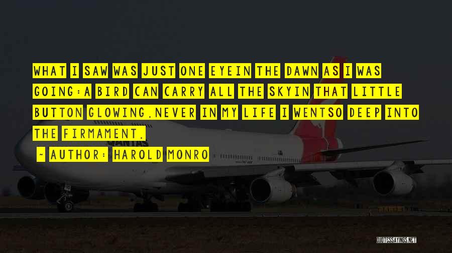 Harold Monro Quotes: What I Saw Was Just One Eyein The Dawn As I Was Going:a Bird Can Carry All The Skyin That