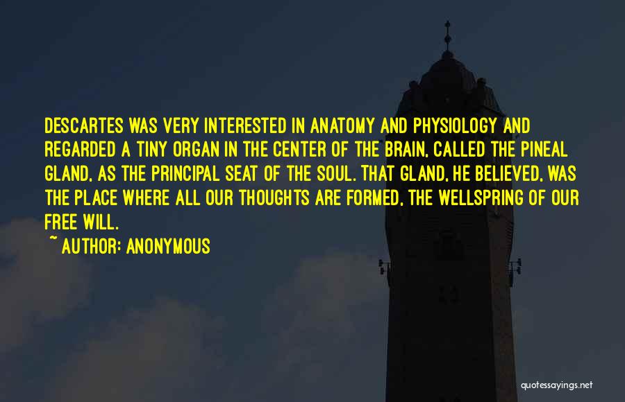 Anonymous Quotes: Descartes Was Very Interested In Anatomy And Physiology And Regarded A Tiny Organ In The Center Of The Brain, Called