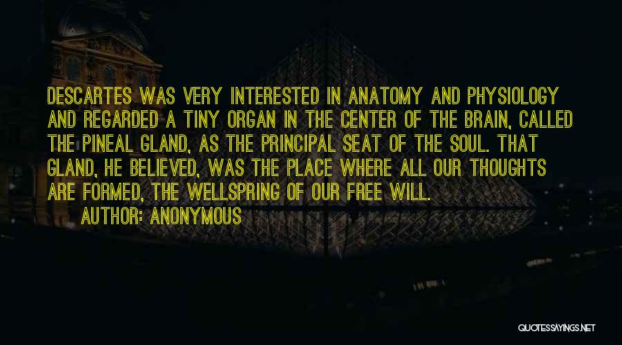 Anonymous Quotes: Descartes Was Very Interested In Anatomy And Physiology And Regarded A Tiny Organ In The Center Of The Brain, Called