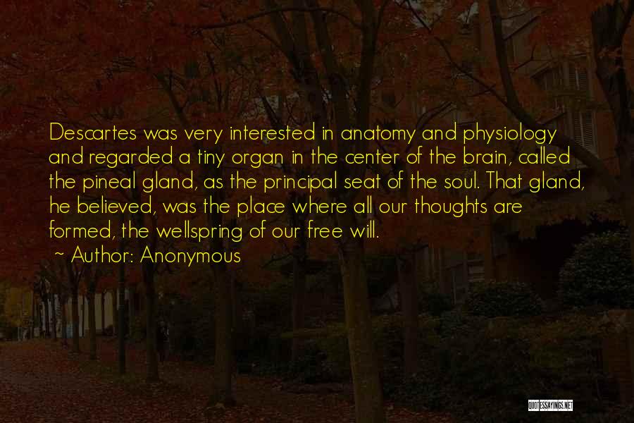 Anonymous Quotes: Descartes Was Very Interested In Anatomy And Physiology And Regarded A Tiny Organ In The Center Of The Brain, Called