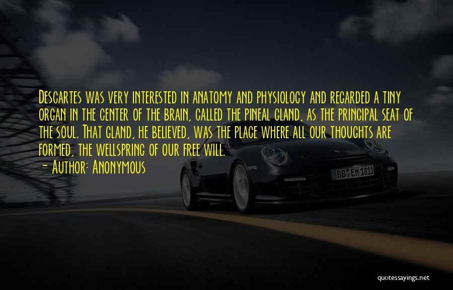 Anonymous Quotes: Descartes Was Very Interested In Anatomy And Physiology And Regarded A Tiny Organ In The Center Of The Brain, Called