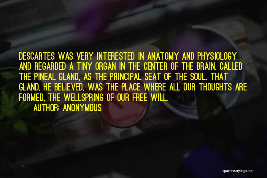 Anonymous Quotes: Descartes Was Very Interested In Anatomy And Physiology And Regarded A Tiny Organ In The Center Of The Brain, Called