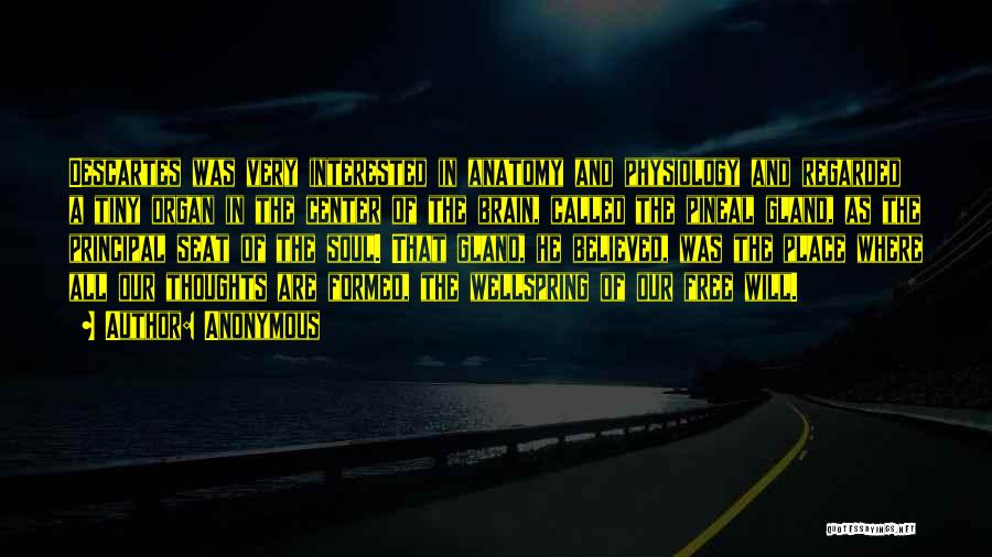 Anonymous Quotes: Descartes Was Very Interested In Anatomy And Physiology And Regarded A Tiny Organ In The Center Of The Brain, Called