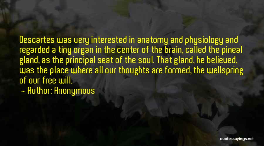 Anonymous Quotes: Descartes Was Very Interested In Anatomy And Physiology And Regarded A Tiny Organ In The Center Of The Brain, Called