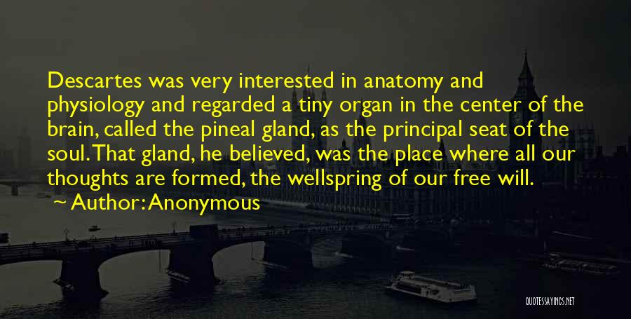 Anonymous Quotes: Descartes Was Very Interested In Anatomy And Physiology And Regarded A Tiny Organ In The Center Of The Brain, Called