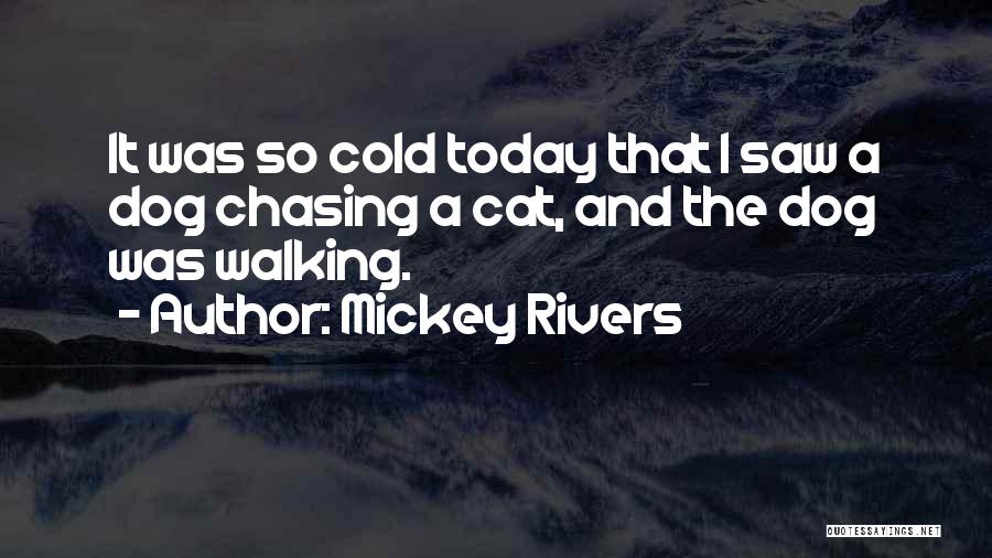 Mickey Rivers Quotes: It Was So Cold Today That I Saw A Dog Chasing A Cat, And The Dog Was Walking.