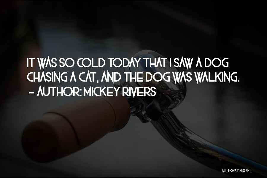 Mickey Rivers Quotes: It Was So Cold Today That I Saw A Dog Chasing A Cat, And The Dog Was Walking.