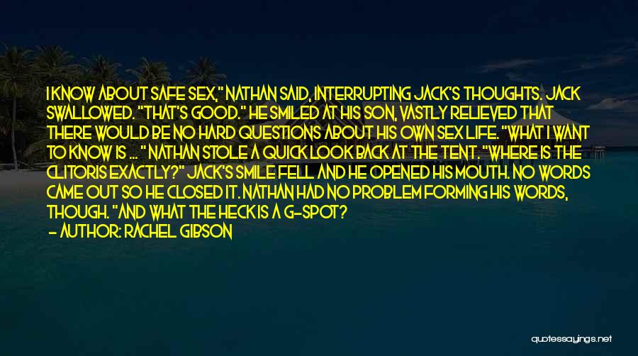 Rachel Gibson Quotes: I Know About Safe Sex, Nathan Said, Interrupting Jack's Thoughts. Jack Swallowed. That's Good. He Smiled At His Son, Vastly