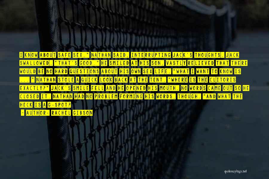 Rachel Gibson Quotes: I Know About Safe Sex, Nathan Said, Interrupting Jack's Thoughts. Jack Swallowed. That's Good. He Smiled At His Son, Vastly