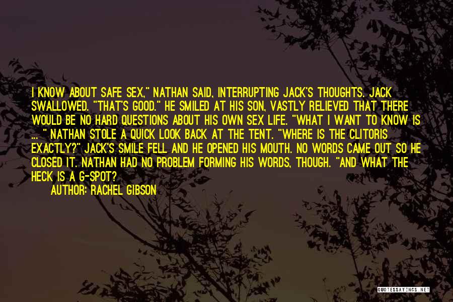 Rachel Gibson Quotes: I Know About Safe Sex, Nathan Said, Interrupting Jack's Thoughts. Jack Swallowed. That's Good. He Smiled At His Son, Vastly