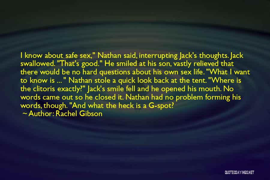 Rachel Gibson Quotes: I Know About Safe Sex, Nathan Said, Interrupting Jack's Thoughts. Jack Swallowed. That's Good. He Smiled At His Son, Vastly