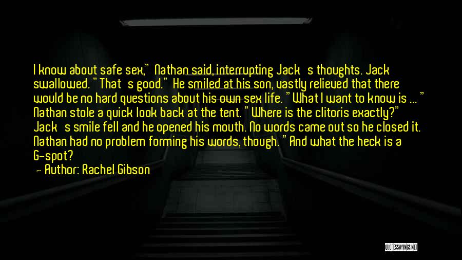 Rachel Gibson Quotes: I Know About Safe Sex, Nathan Said, Interrupting Jack's Thoughts. Jack Swallowed. That's Good. He Smiled At His Son, Vastly