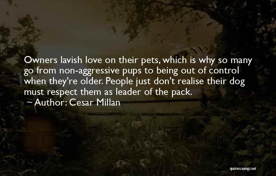 Cesar Millan Quotes: Owners Lavish Love On Their Pets, Which Is Why So Many Go From Non-aggressive Pups To Being Out Of Control