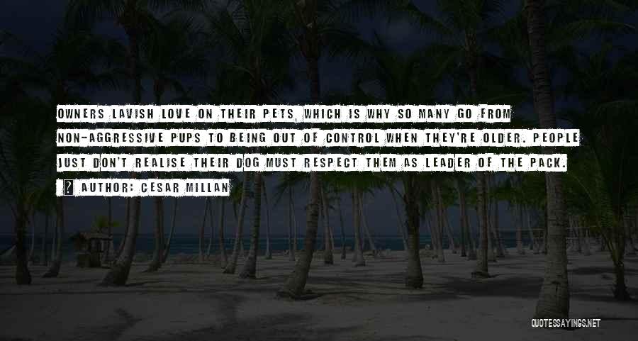 Cesar Millan Quotes: Owners Lavish Love On Their Pets, Which Is Why So Many Go From Non-aggressive Pups To Being Out Of Control