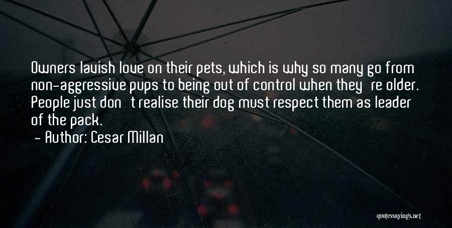 Cesar Millan Quotes: Owners Lavish Love On Their Pets, Which Is Why So Many Go From Non-aggressive Pups To Being Out Of Control