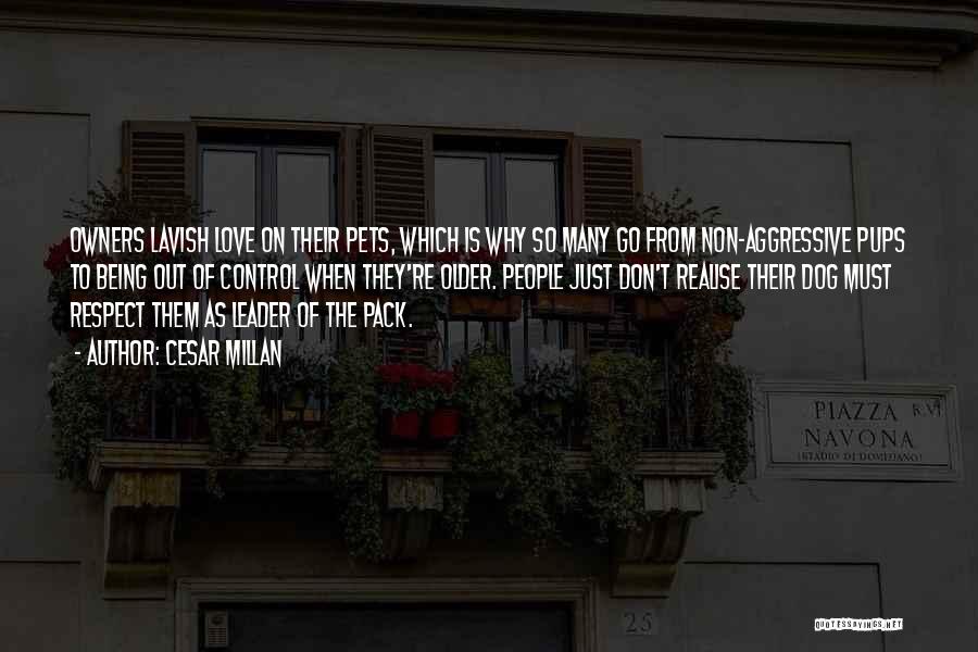 Cesar Millan Quotes: Owners Lavish Love On Their Pets, Which Is Why So Many Go From Non-aggressive Pups To Being Out Of Control