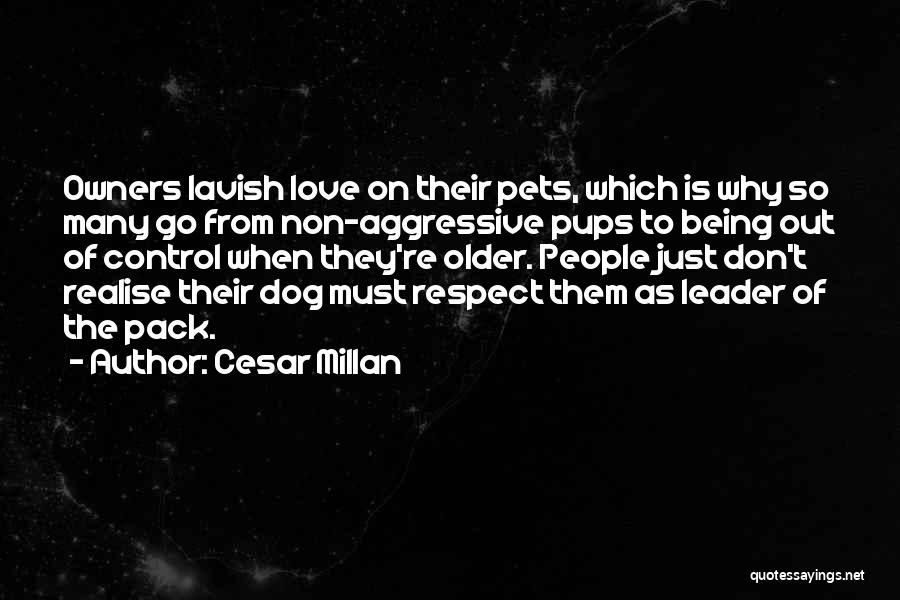 Cesar Millan Quotes: Owners Lavish Love On Their Pets, Which Is Why So Many Go From Non-aggressive Pups To Being Out Of Control