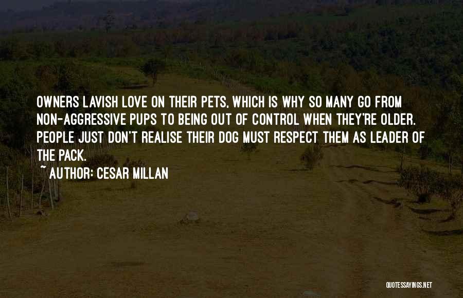 Cesar Millan Quotes: Owners Lavish Love On Their Pets, Which Is Why So Many Go From Non-aggressive Pups To Being Out Of Control