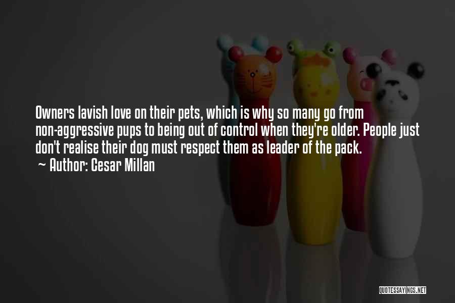 Cesar Millan Quotes: Owners Lavish Love On Their Pets, Which Is Why So Many Go From Non-aggressive Pups To Being Out Of Control