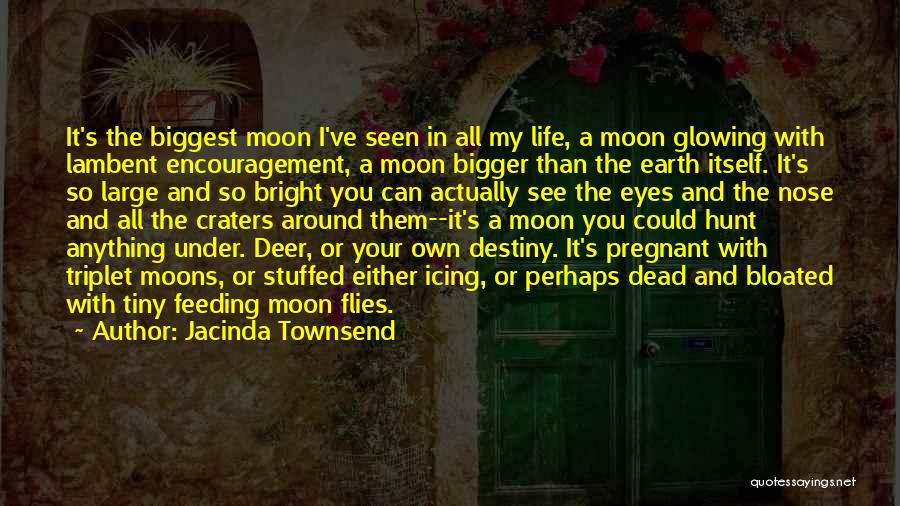 Jacinda Townsend Quotes: It's The Biggest Moon I've Seen In All My Life, A Moon Glowing With Lambent Encouragement, A Moon Bigger Than