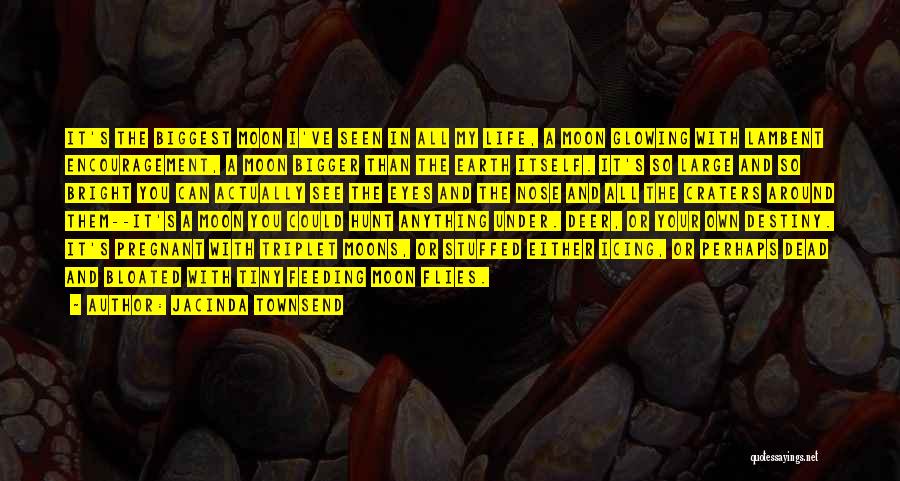 Jacinda Townsend Quotes: It's The Biggest Moon I've Seen In All My Life, A Moon Glowing With Lambent Encouragement, A Moon Bigger Than