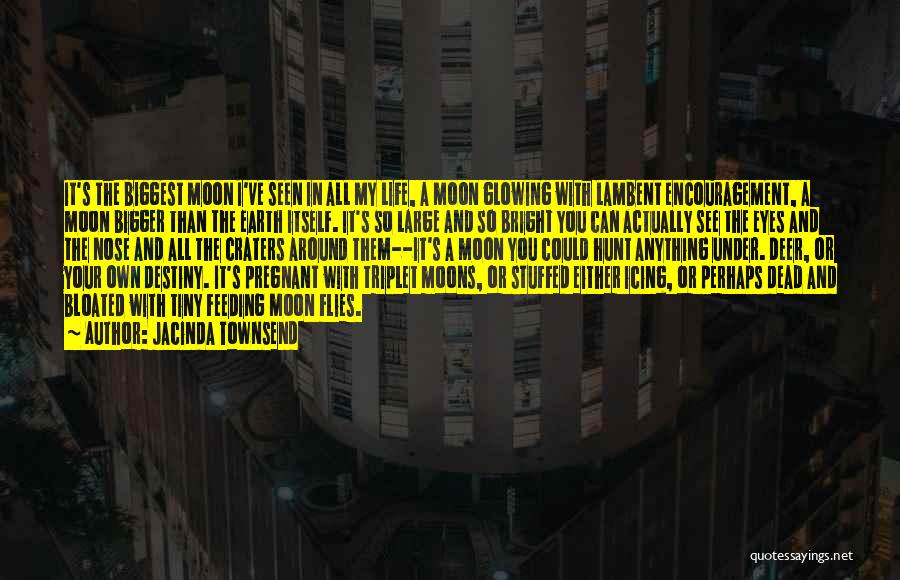Jacinda Townsend Quotes: It's The Biggest Moon I've Seen In All My Life, A Moon Glowing With Lambent Encouragement, A Moon Bigger Than