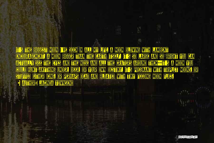 Jacinda Townsend Quotes: It's The Biggest Moon I've Seen In All My Life, A Moon Glowing With Lambent Encouragement, A Moon Bigger Than