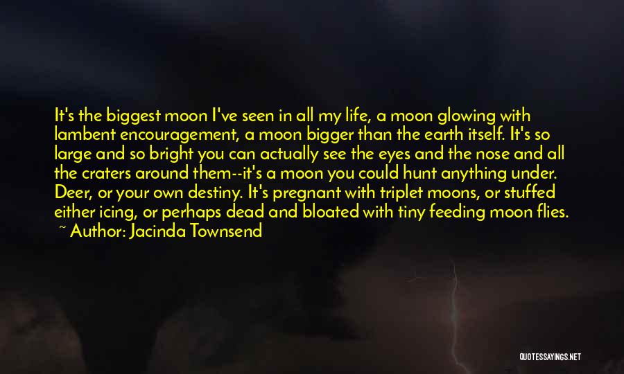 Jacinda Townsend Quotes: It's The Biggest Moon I've Seen In All My Life, A Moon Glowing With Lambent Encouragement, A Moon Bigger Than