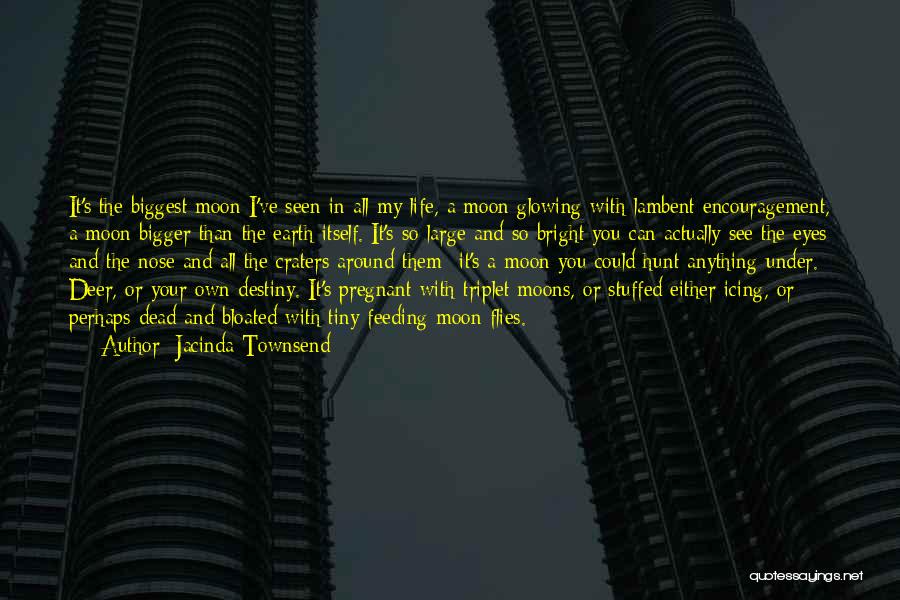 Jacinda Townsend Quotes: It's The Biggest Moon I've Seen In All My Life, A Moon Glowing With Lambent Encouragement, A Moon Bigger Than