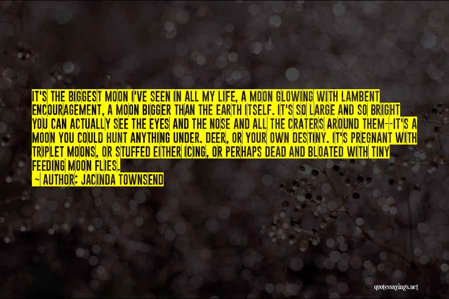 Jacinda Townsend Quotes: It's The Biggest Moon I've Seen In All My Life, A Moon Glowing With Lambent Encouragement, A Moon Bigger Than