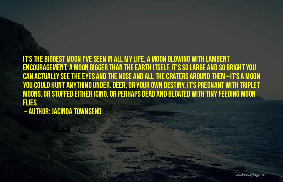 Jacinda Townsend Quotes: It's The Biggest Moon I've Seen In All My Life, A Moon Glowing With Lambent Encouragement, A Moon Bigger Than