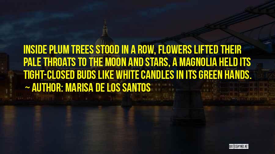 Marisa De Los Santos Quotes: Inside Plum Trees Stood In A Row, Flowers Lifted Their Pale Throats To The Moon And Stars, A Magnolia Held