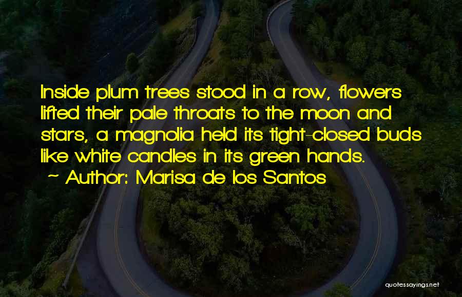 Marisa De Los Santos Quotes: Inside Plum Trees Stood In A Row, Flowers Lifted Their Pale Throats To The Moon And Stars, A Magnolia Held