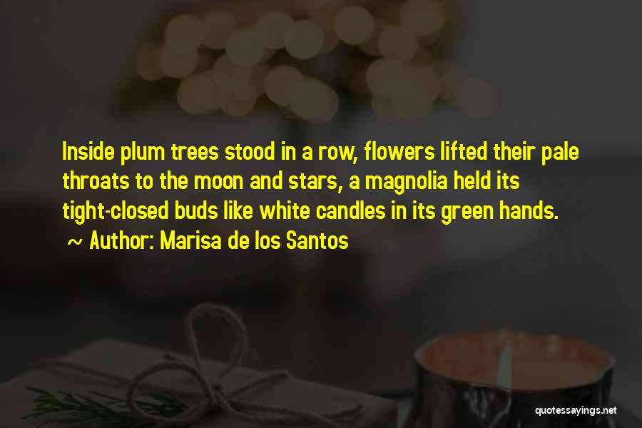 Marisa De Los Santos Quotes: Inside Plum Trees Stood In A Row, Flowers Lifted Their Pale Throats To The Moon And Stars, A Magnolia Held