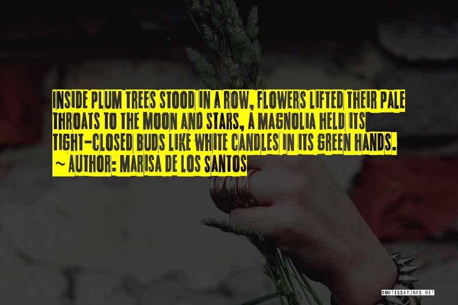 Marisa De Los Santos Quotes: Inside Plum Trees Stood In A Row, Flowers Lifted Their Pale Throats To The Moon And Stars, A Magnolia Held