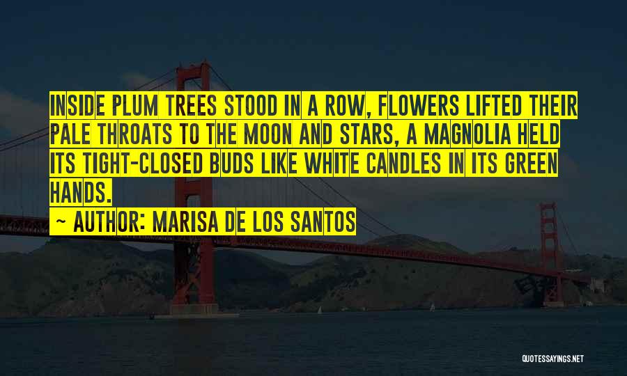 Marisa De Los Santos Quotes: Inside Plum Trees Stood In A Row, Flowers Lifted Their Pale Throats To The Moon And Stars, A Magnolia Held