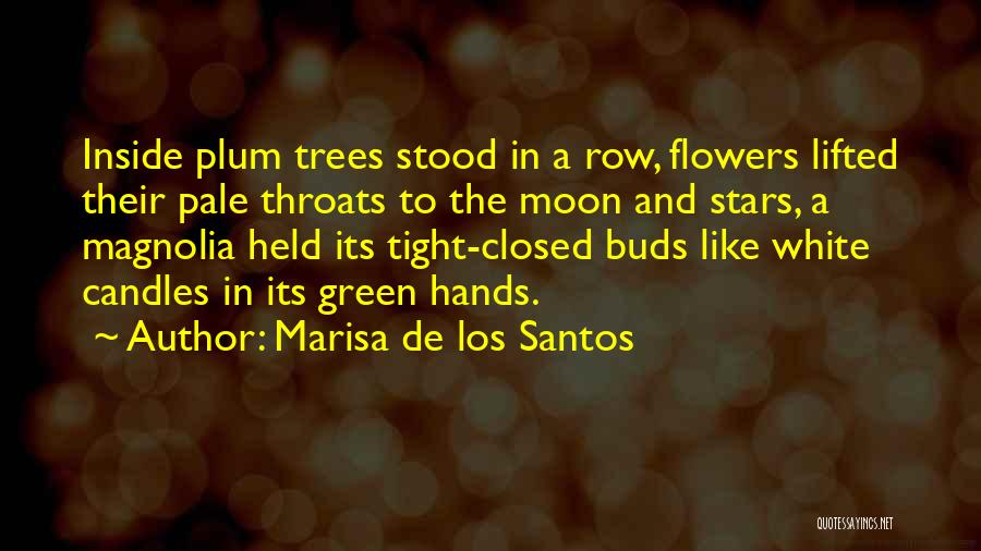 Marisa De Los Santos Quotes: Inside Plum Trees Stood In A Row, Flowers Lifted Their Pale Throats To The Moon And Stars, A Magnolia Held