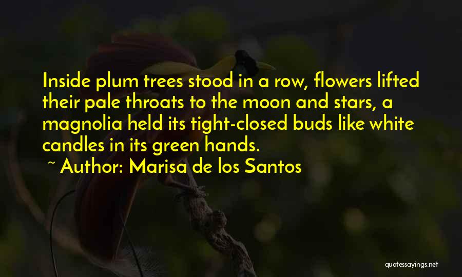Marisa De Los Santos Quotes: Inside Plum Trees Stood In A Row, Flowers Lifted Their Pale Throats To The Moon And Stars, A Magnolia Held